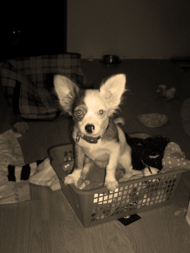 kukuku miláček můj :)