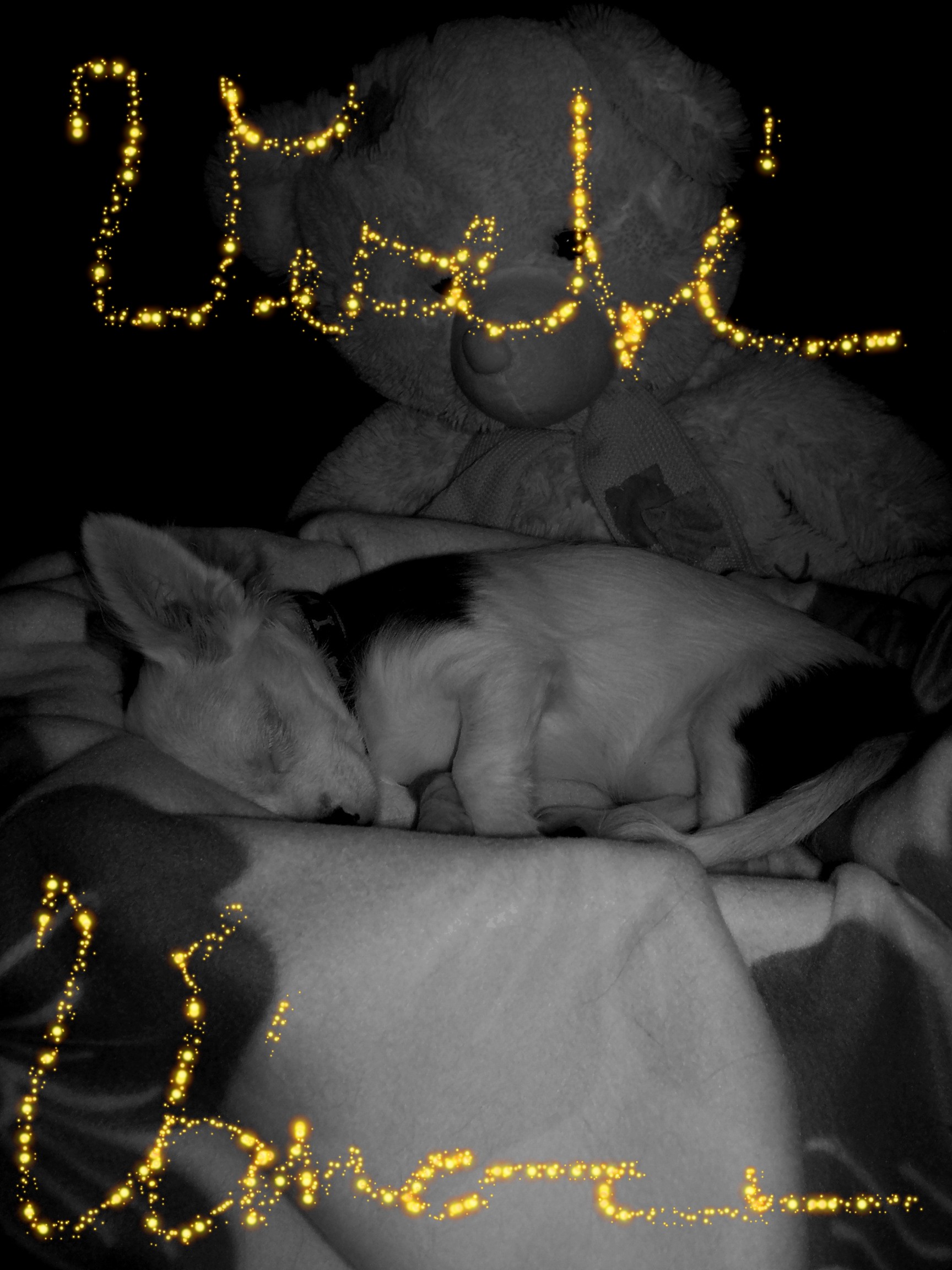 Veselé Vánoce vám všem :)