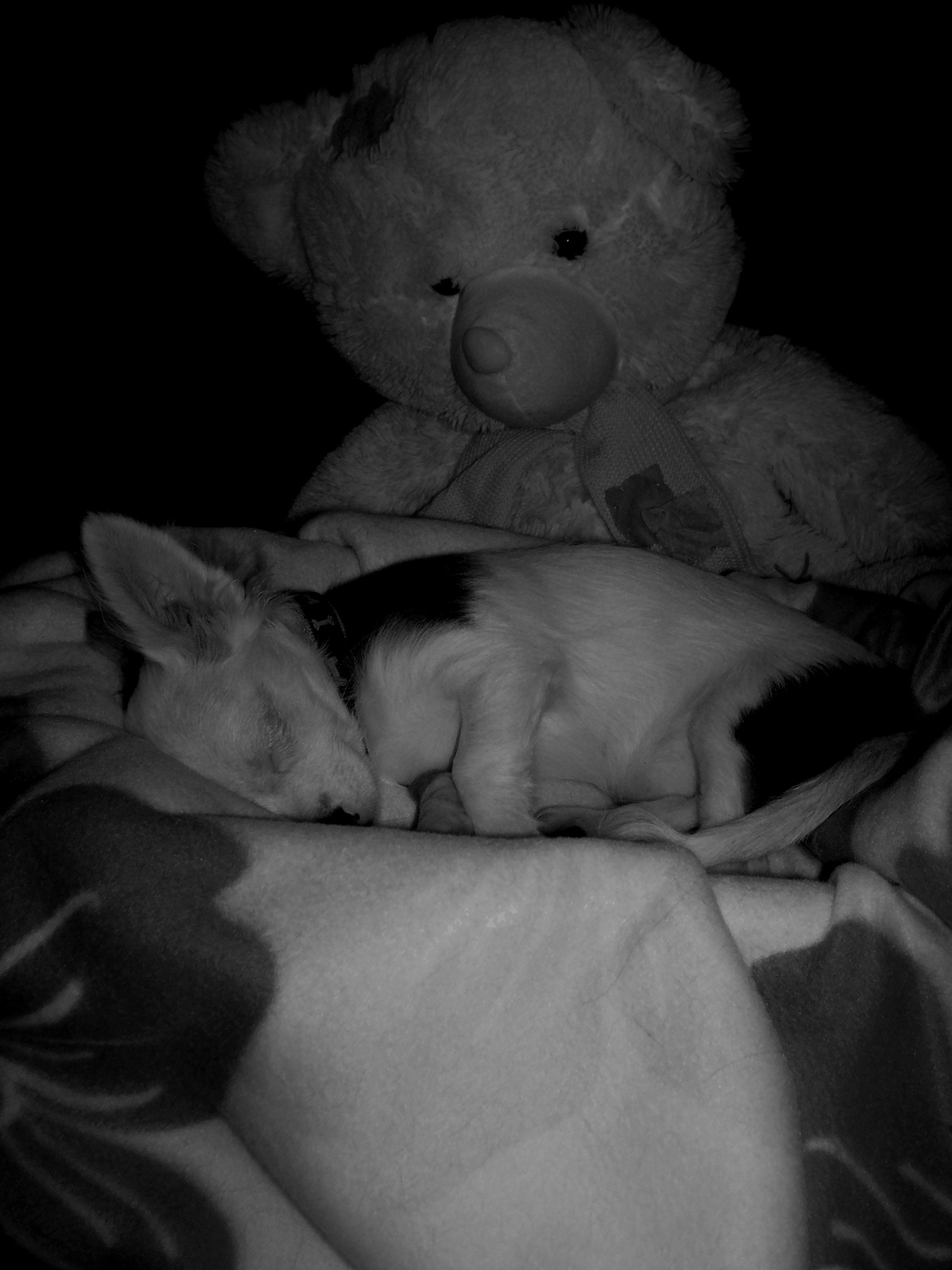 jak sladce spinká,beruška naše