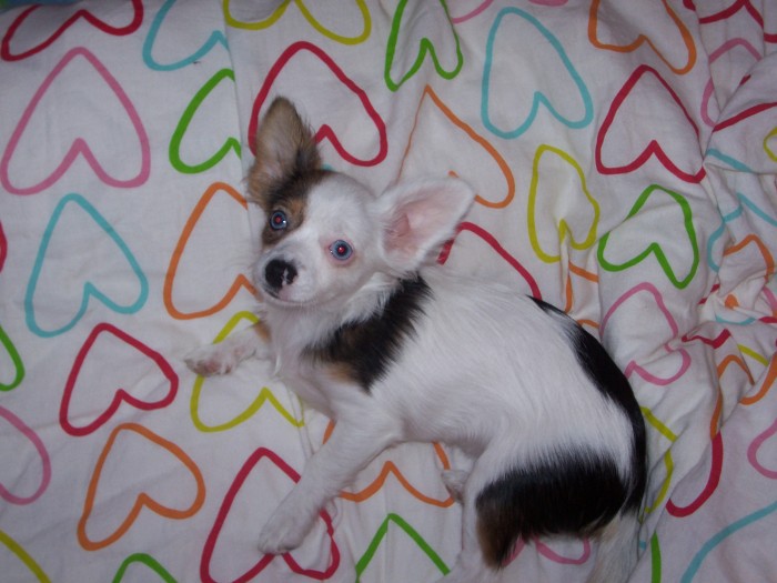 cssssss to je moje postel