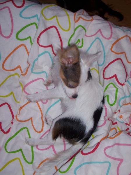 ukládáí ke spánku