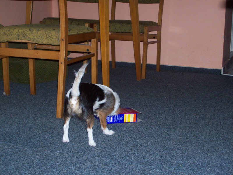 táááák a mám tě