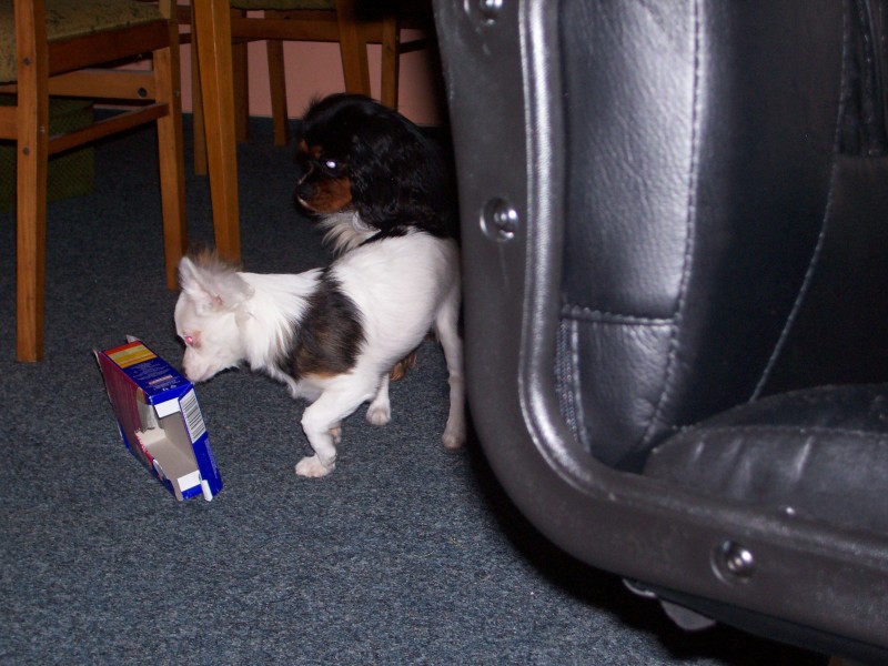 ty jedna neutíkej mi